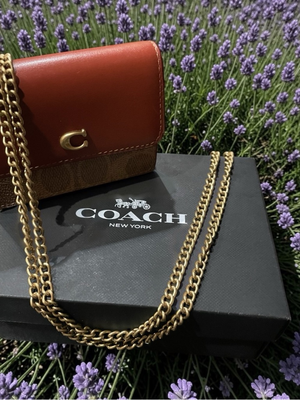 NWOT with a box Coach Brown Leather Mini Bag with original Coach gold chain.